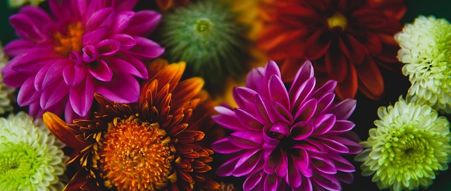 官方：拉姆斯代尔租借加盟纽卡斯尔联；据悉租借费为400万镑